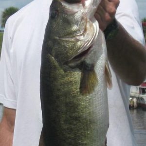 Blake Big Bass 10-08-12_crop