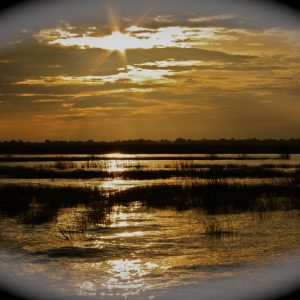 IMG_0280_2 (1280x853)