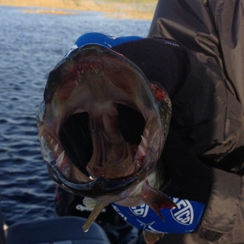 Issac Altizer 031413