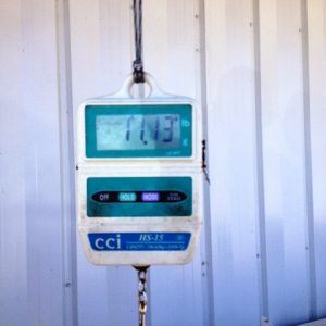 John Hightower 0509131