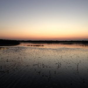 Morning Sunrise 040213