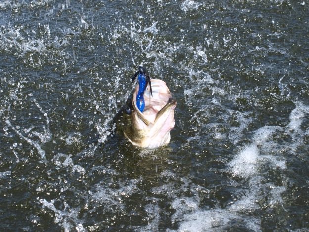 fishing pics 015