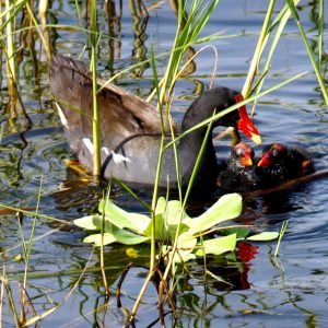 fishing pics lake 037