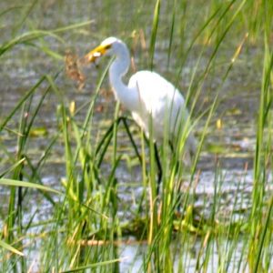 fishing pics lake 047