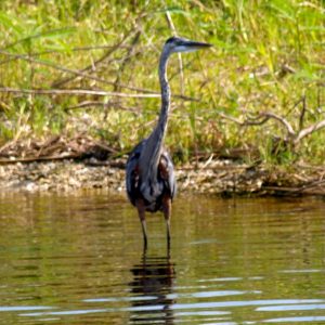 fishing pics lake 050