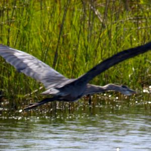 fishing pics lake 051
