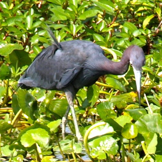 fishing pics lake 056