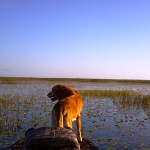 2012-11-01_08-44-10_364