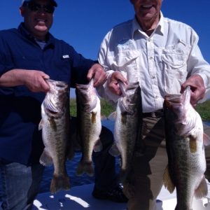 Capt. Brad1 (480x640)