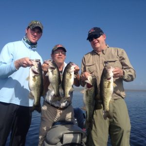 Feb 1, 2014 Morning Trip (640x480)