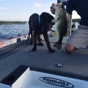 Gunner Marsocci First Fish
