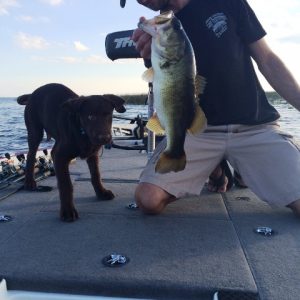 Gunner Marsocci Fish