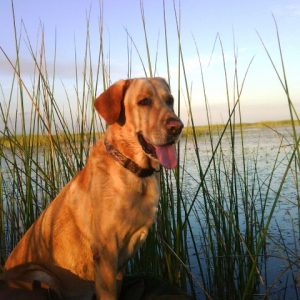 IMG00053-20091209-1703