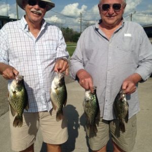 IMG_0485.JPG (480x640)