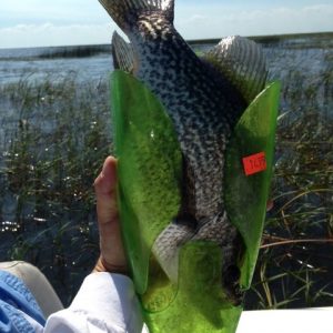 IMG_0511.JPG (480x640)