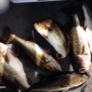 Johnathon Big Stringer