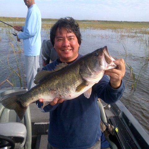 Northeast Glades-20140204-00209 (640×480)