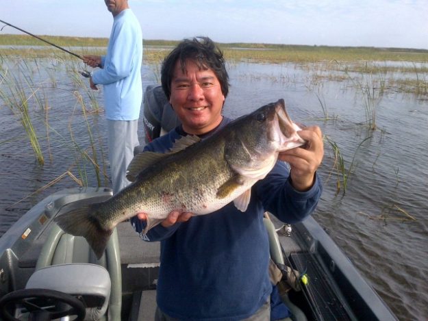 Northeast Glades-20140204-00209 (640×480)