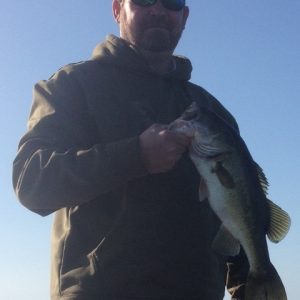 Puryear0315141 (480x640)