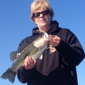 Puryear0315142 (480x640)