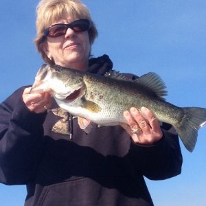 Puryear0315143 (480x640)