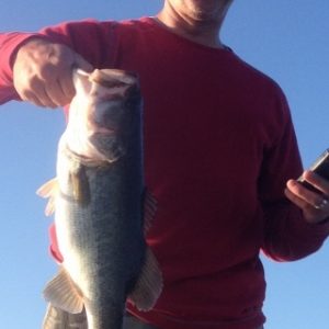 Rick031614 (480x640) (320x534)