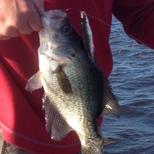 Rick0316141 (480x640)