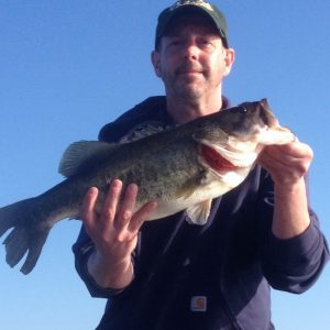 Will0316141 (582x640)