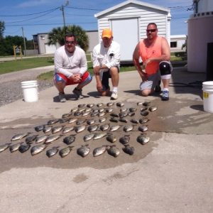 Brad0330141 (480x640)