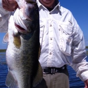 Capt. Brad (480x640)