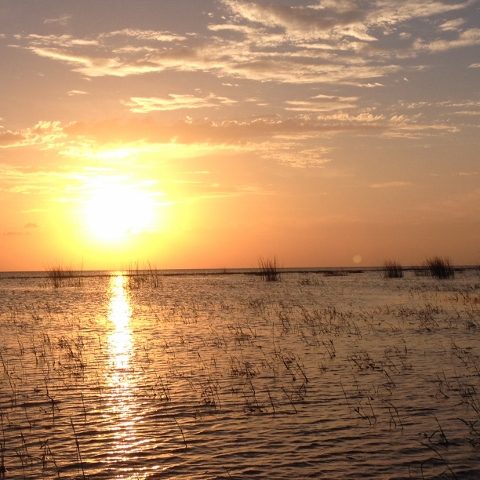 Sunset051214 (640×480)