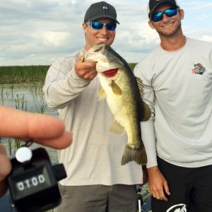 laynce0520143 (590x640)