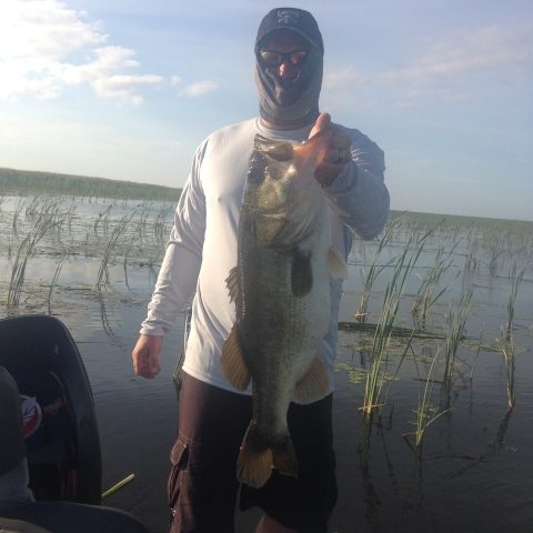 mac051714 (480×640)