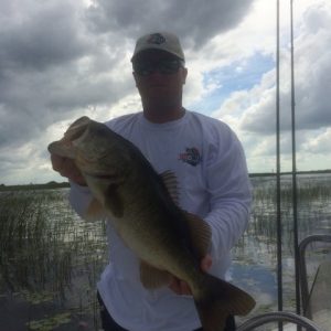 Chase100814 (480x640)