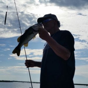 George 10714 (360x640)