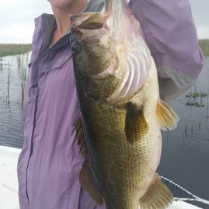 Allen0220152 (360x640)