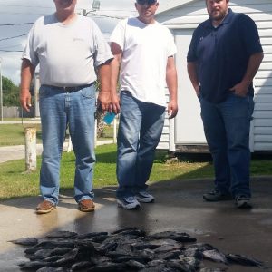 Brad022015 (553x640)