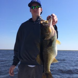 Chase0320153 (480x640)