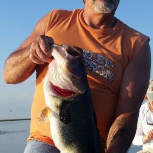 Mac0316151 (428x640)