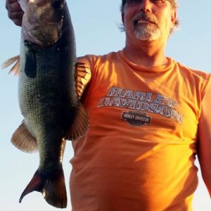 Mac0316153 (498x640)