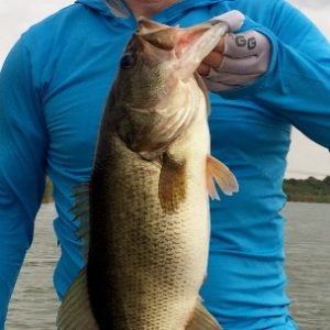 Ronan032715 (304x640)