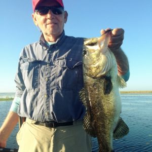 Wade0220152 (480x640)