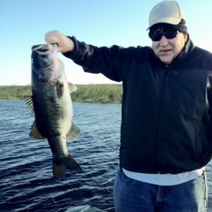 Wade0220154 (480x640)