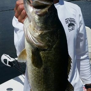 2015-04-13 08.58.07_resized (297x640)