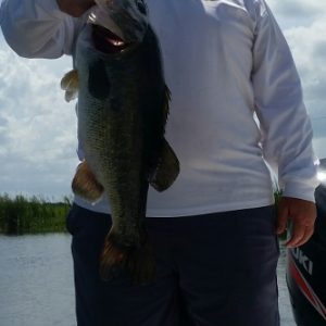 20150412_113727_resized (333x640)