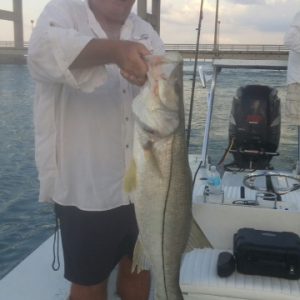 Snook2015 (360x640)