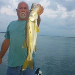 Snook20151 (360x640)