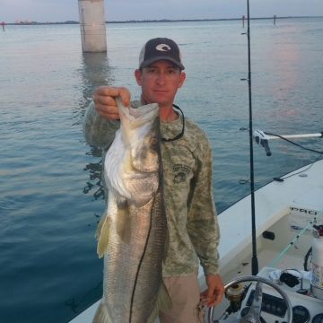 Snook20152 (360×640) Snook20152 (360x640)