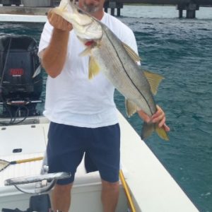 Snook20153 (360x640)
