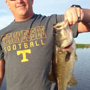 Mike09221 (393x640) (3)